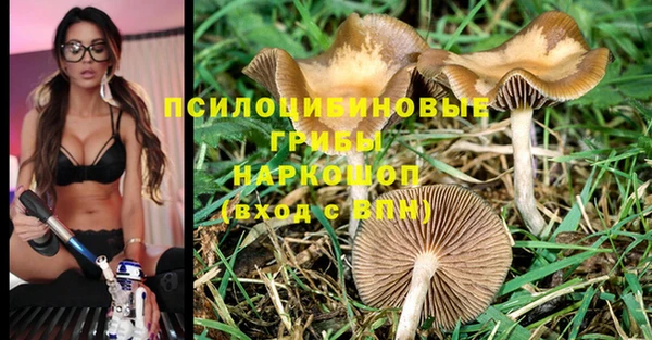 прущие крисы Володарск