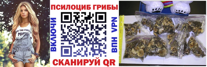 Псилоцибиновые грибы Psilocybe  Таганрог 