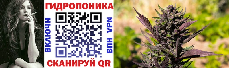 Марихуана White Widow  блэк спрут онион  площадка формула  Таганрог 